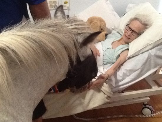 Aged Care Embleton WA Pet Therapy