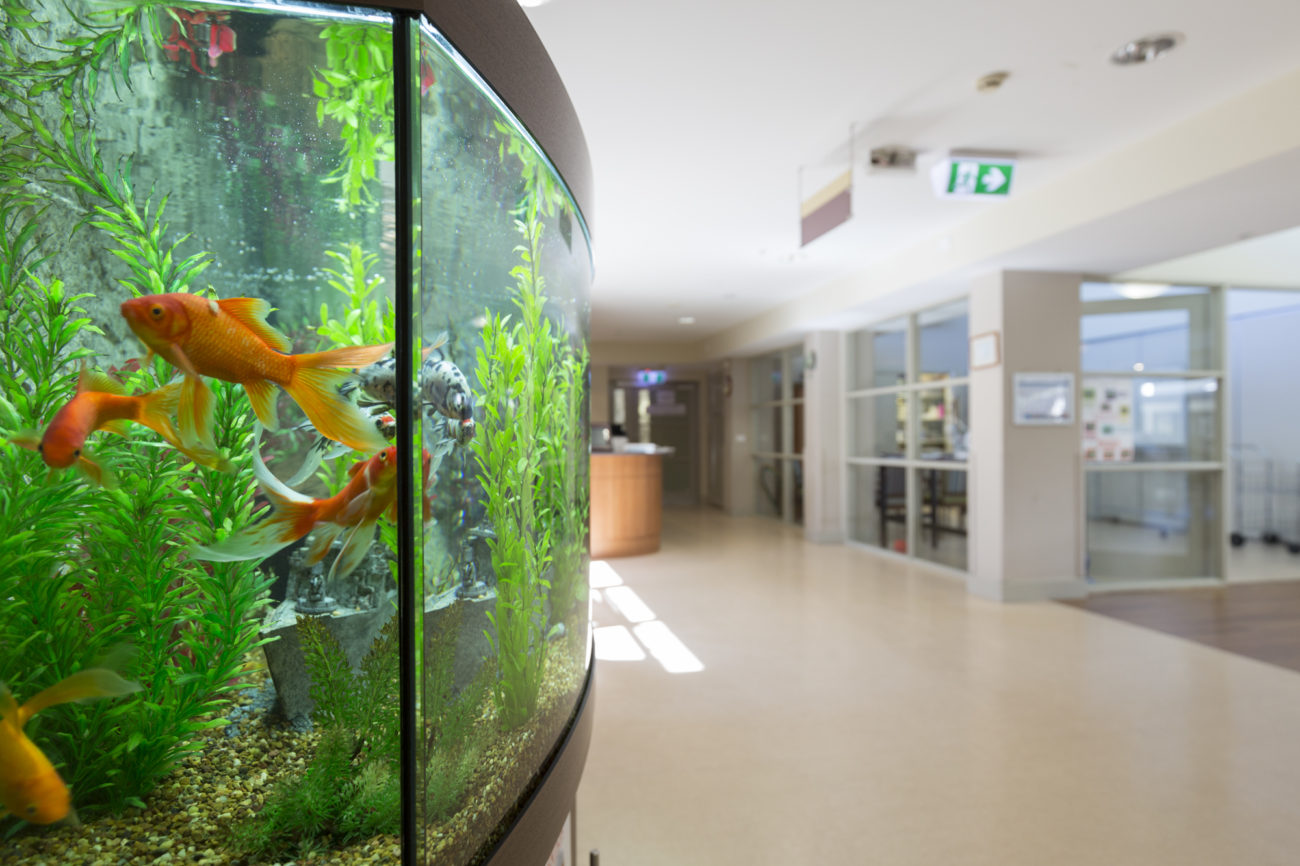 Nursing Home Rosebud Regis Aged Care