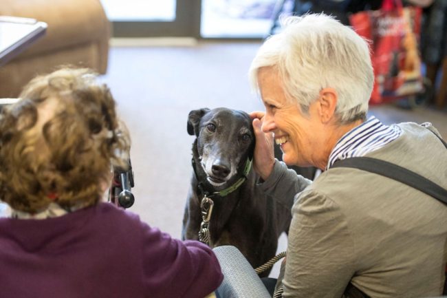 https://www.regis.com.au/site/wp-content/uploads/2017/10/Greyhound-Nursing-Home-e1556489963993.jpeg