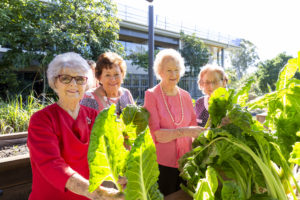 Regis Wynnum's Harvest Garden