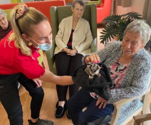 Pet Therapy