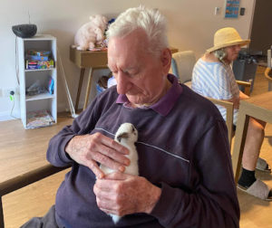 Aged care in Eastern Shore