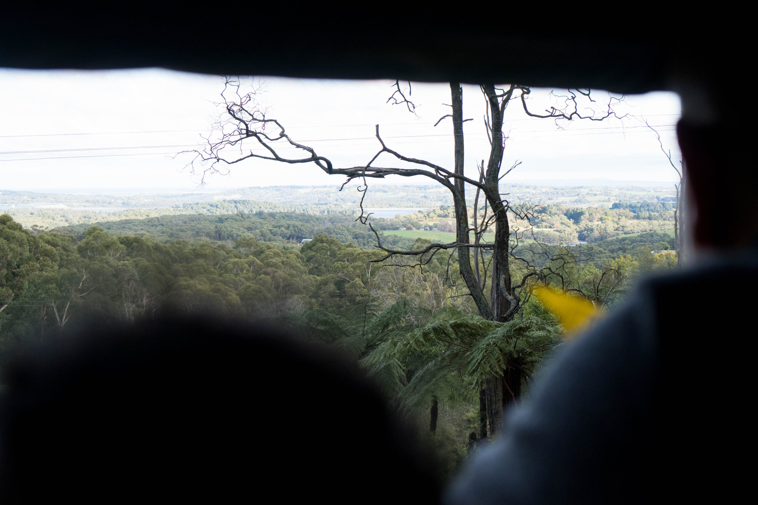 Puffing Billy - Victoria