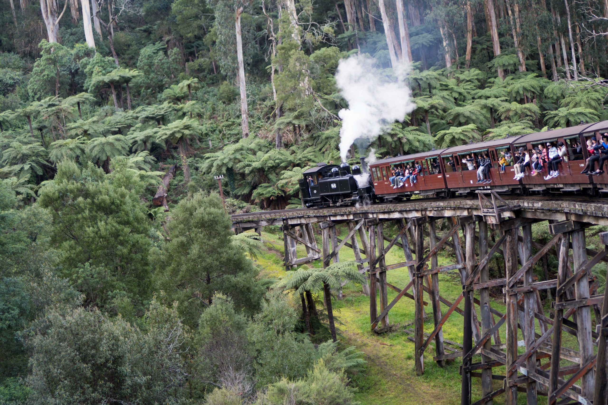 Puffing Billy