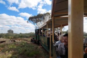Train trip with aged care residents in Mildura