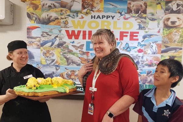 Holland Park and Yeronga wildlife and intergenerational visit 2