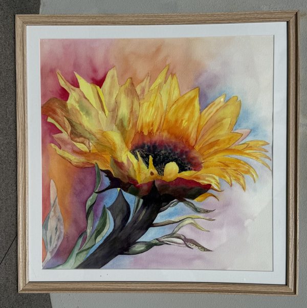 "The Sunflower" by Sheila Hall