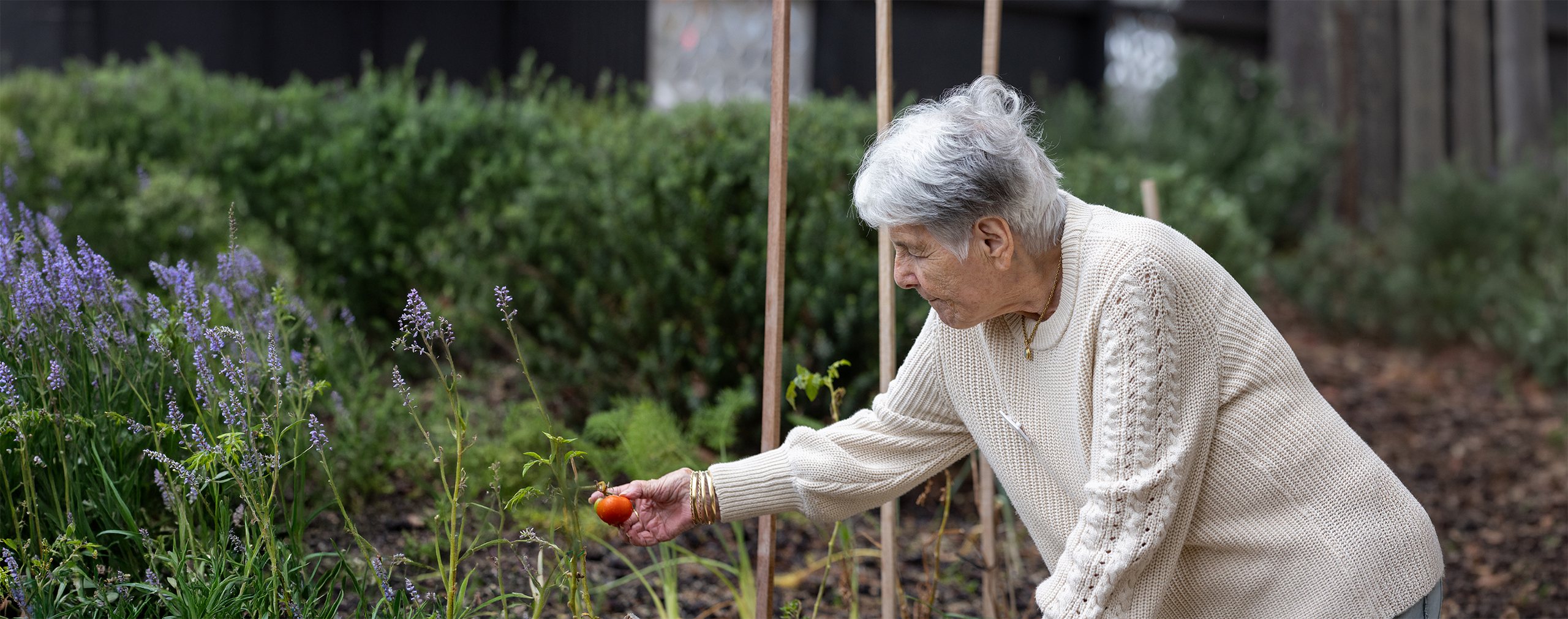 Regis home care client gardening